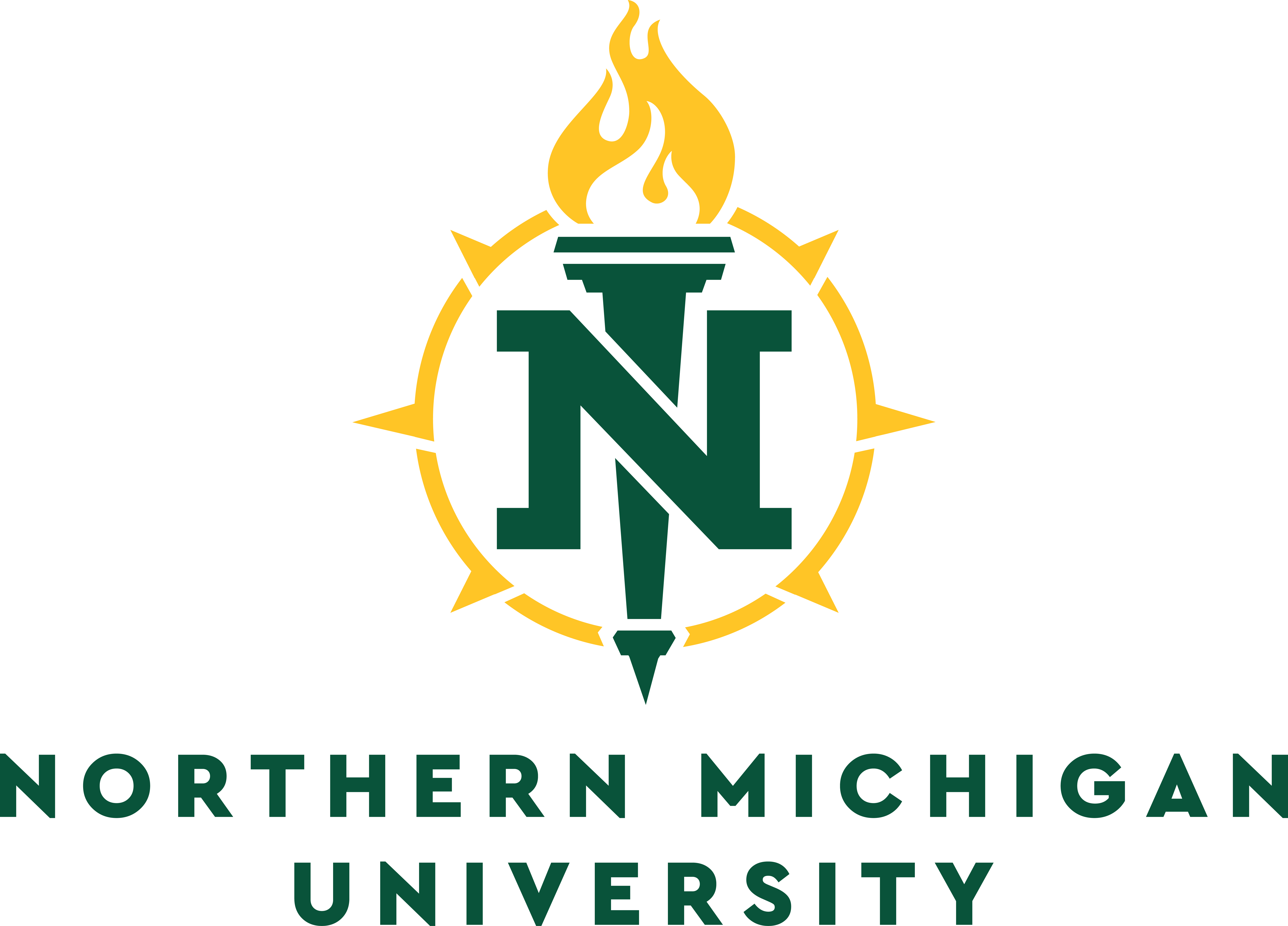 NMU logo